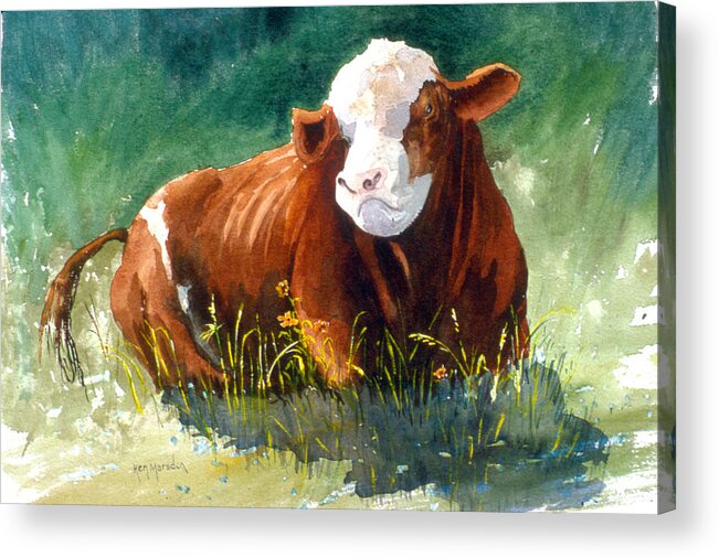 Bull Acrylic Print featuring the painting Chester by Ken Marsden