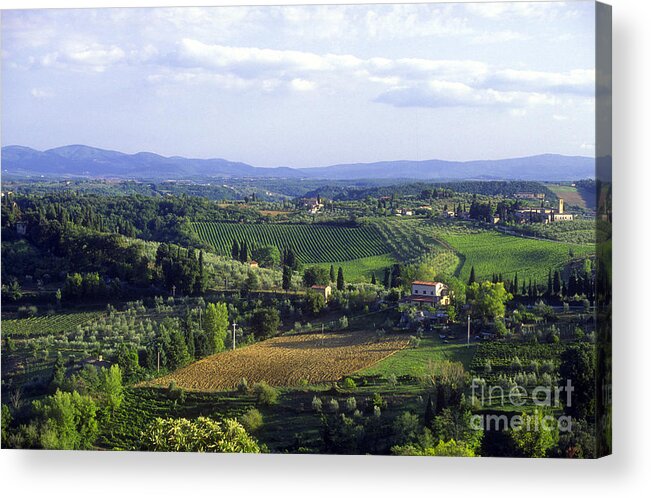 Chianti Acrylic Print featuring the photograph Chianti Region in Italy by Gregory Ochocki and Photo Researchers