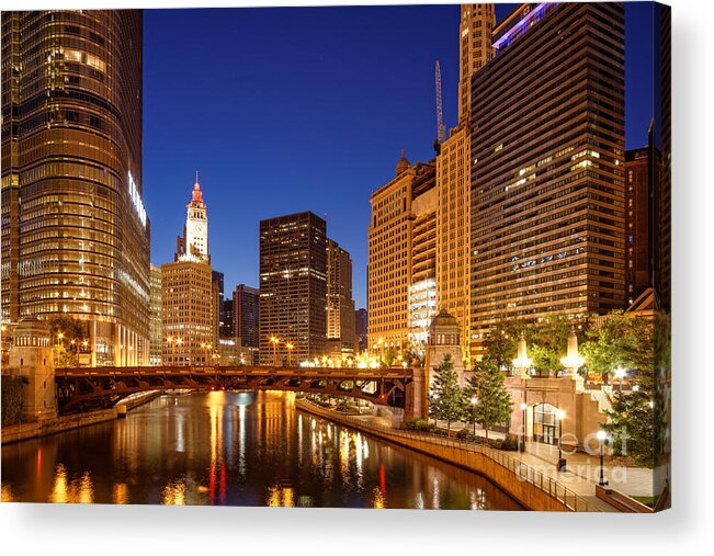Windy Acrylic Print featuring the photograph Chicago River Trump Tower and Wrigley Building at Dawn - Chicago Illinois by Silvio Ligutti
