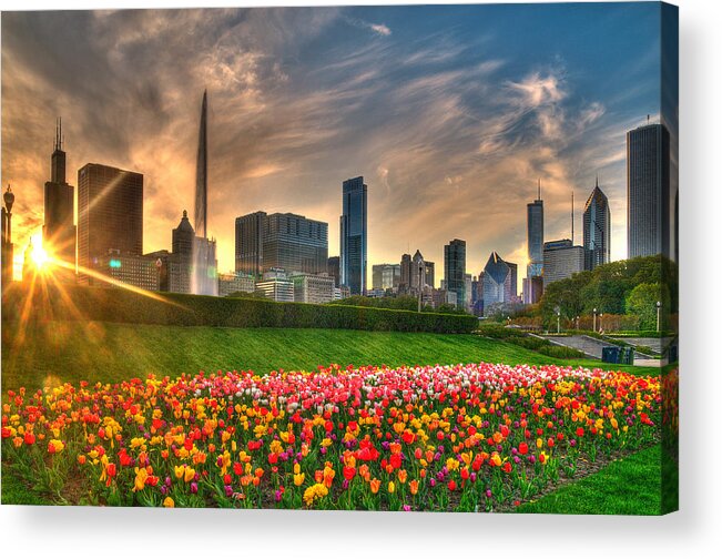 Chicago Acrylic Print featuring the photograph Chicago Spring by Jeff Lewis