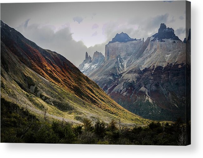 Landscape Acrylic Print featuring the photograph Chilean Valley by Ryan Weddle