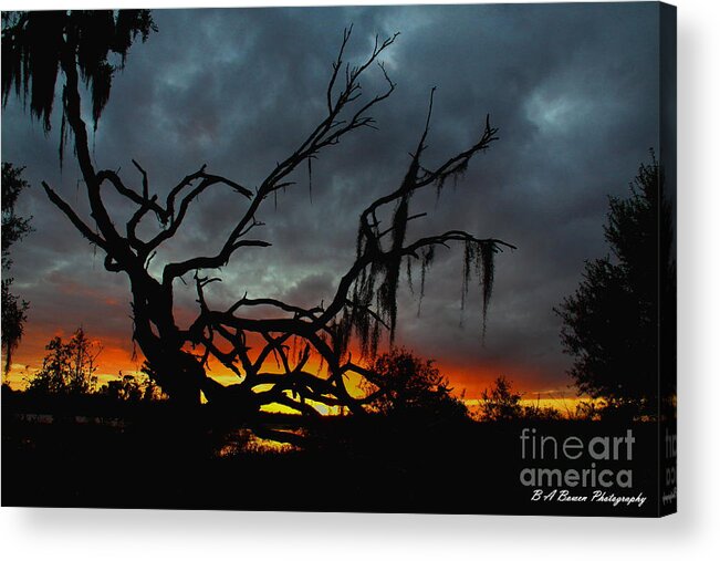 Florida Sunset Acrylic Print featuring the photograph Chilling Sunset by Barbara Bowen