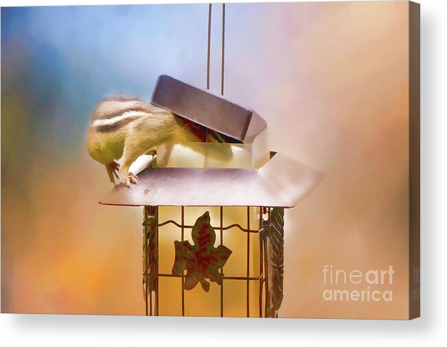 Chipmunk Acrylic Print featuring the photograph Chipmunk at the Feeder 2 Nursery triptych by Eleanor Abramson