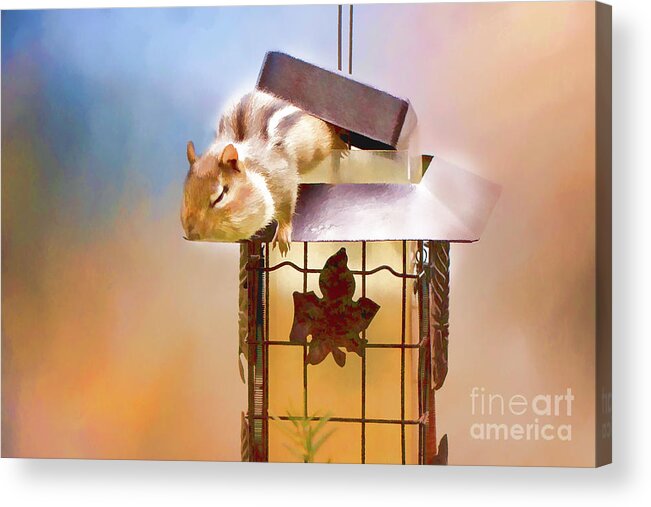 Chipmunk Acrylic Print featuring the photograph Chipmunk at the Feeder 3 Nursery triptych by Eleanor Abramson