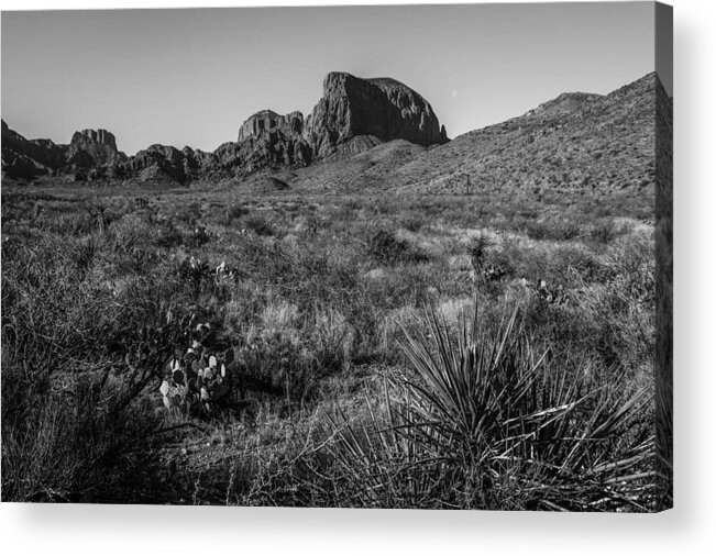 Texas Acrylic Print featuring the photograph Chisos Mountains by Amber Kresge