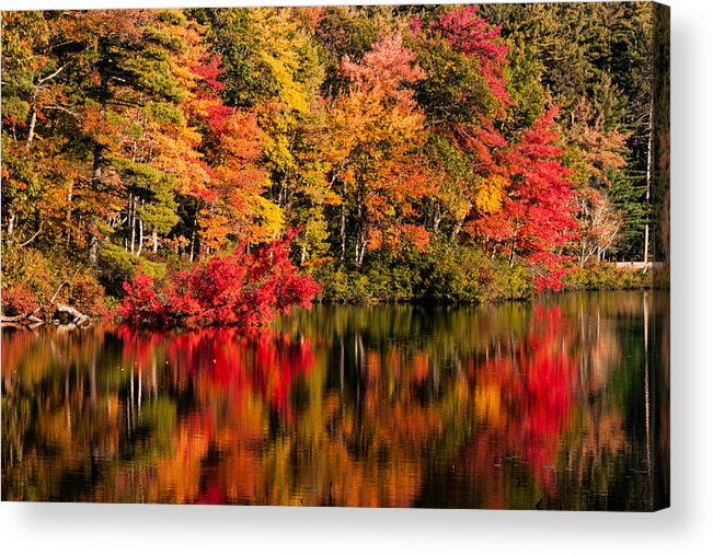 Little Pond Acrylic Print featuring the photograph Chocorua pond in fall foliage by Jeff Folger