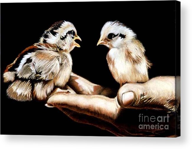 Birds Acrylic Print featuring the pastel Chuckies by Dipali Shah