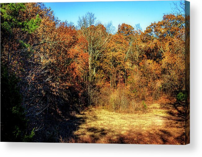 Clearing Acrylic Print featuring the photograph Clearing in the Woods by Barry Jones