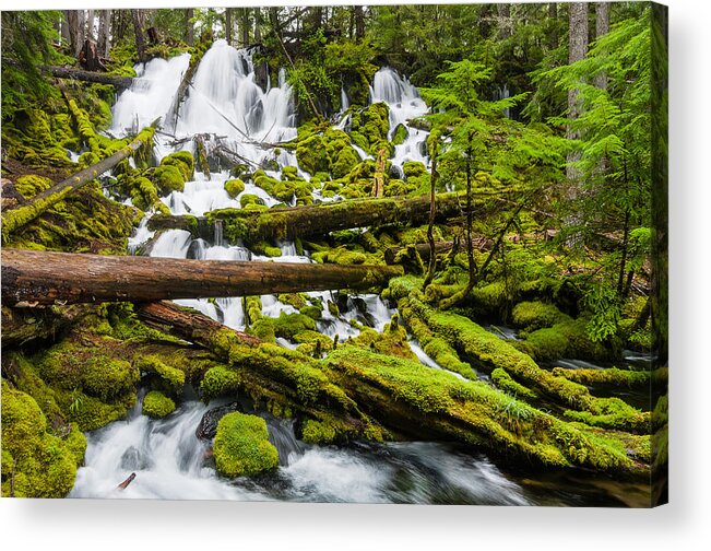 Clearwater Creek Acrylic Print featuring the photograph Clearwater Falls and Rapids by Greg Nyquist