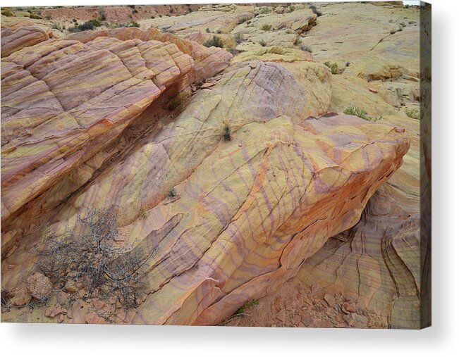 Valley Of Fire State Park Acrylic Print featuring the photograph Cliffs of Color in Valley of Fire by Ray Mathis