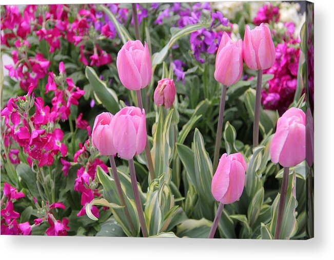 Flowers Acrylic Print featuring the photograph Close Up Mixed Planter by Allen Nice-Webb
