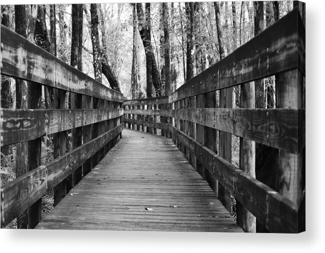 Black And White Acrylic Print featuring the photograph Closing In by Melanie Moraga