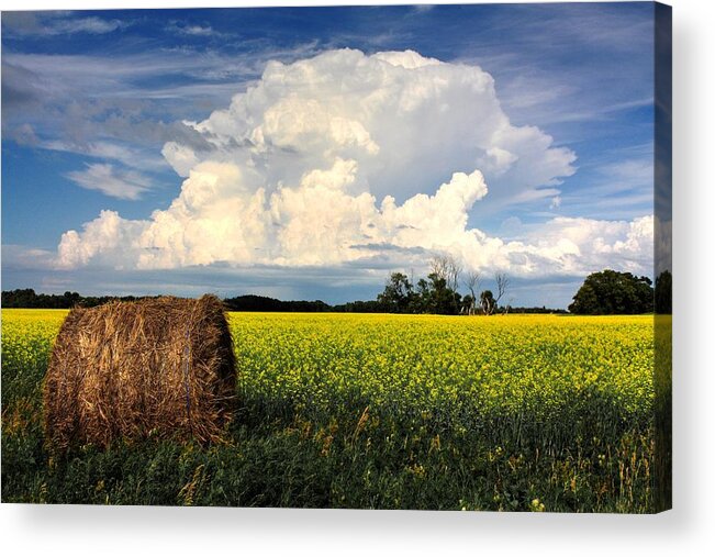 Barn Cloud Sky Blue White Barnyard Farm Yard Countryside Prairie Valley Trees Canola Fields Crops Dreams Acrylic Print featuring the photograph Cloud Bale by David Matthews