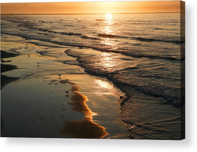 Beach Acrylic Print featuring the photograph Coastal Sunrise by Marilyn Hunt