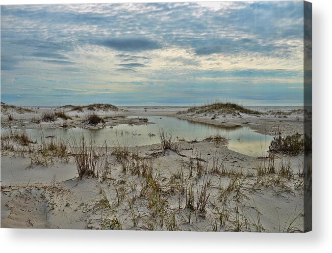 Night Acrylic Print featuring the photograph Coastland Wetland by Renee Hardison