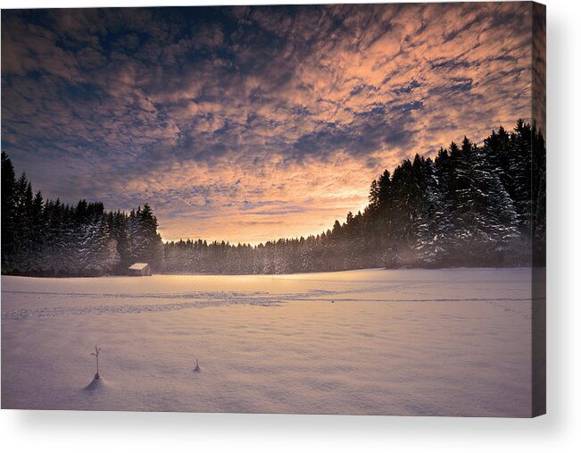 Winter Acrylic Print featuring the photograph Cold morning by Dominique Dubied
