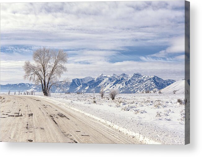 Winter Acrylic Print featuring the photograph Cold Winter Day by Stacy White