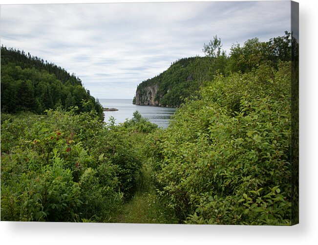 Coldwell Acrylic Print featuring the photograph Coldwell Path by Tingy Wende