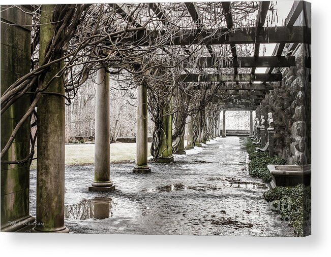 Biltmore Acrylic Print featuring the photograph Colonnade by Todd Blanchard