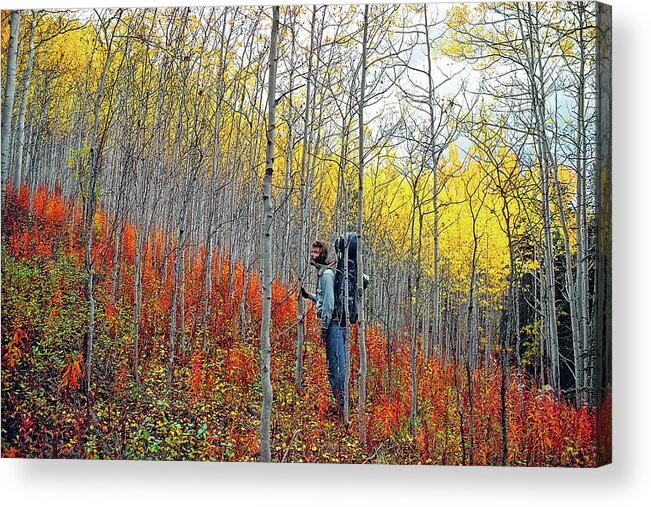 The Walkers Acrylic Print featuring the photograph Color Fall by The Walkers