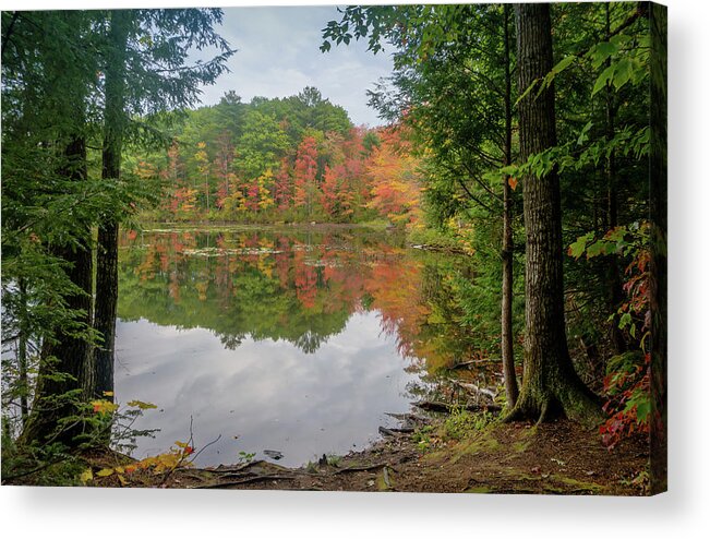 Auburn Acrylic Print featuring the photograph Color in the cove by Jane Luxton