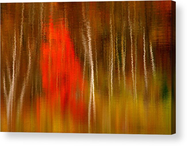 Reflection Acrylic Print featuring the photograph Color Reflections by Denise Bush