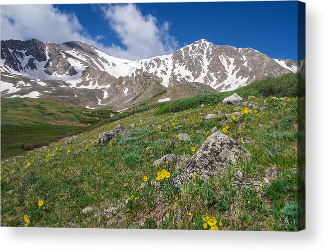 Colorado Acrylic Print featuring the photograph Colorado 14ers Grays Peak and Torreys Peak by Aaron Spong