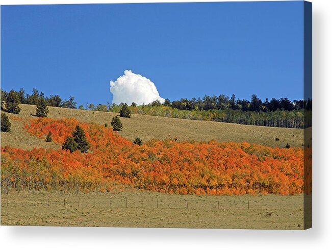 Colorado Acrylic Print featuring the photograph Colorado Autumn 02 by Robert Meyers-Lussier