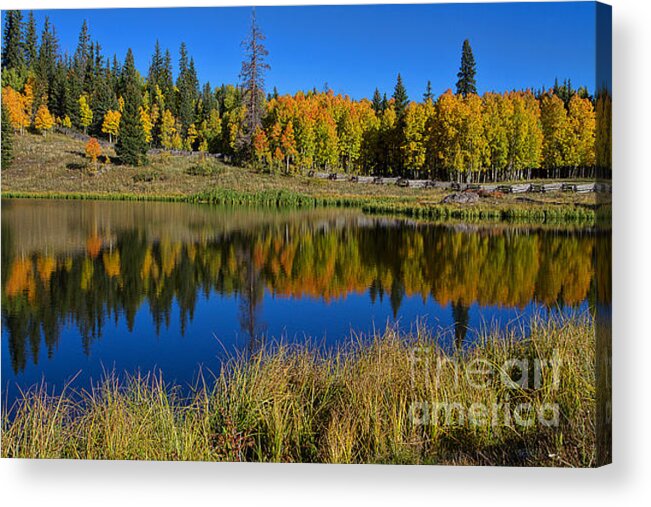 Autumn Reflection Acrylic Print featuring the photograph Colorado Autumn Morning by Jim Garrison