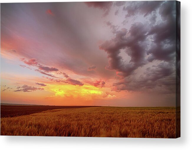 Colorado Acrylic Print featuring the photograph Colorado Eastern Plains Sunset Sky by James BO Insogna