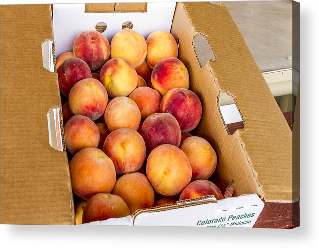 Colorado Peaches Acrylic Print featuring the photograph Colorado Peaches Ready for Market by Teri Virbickis