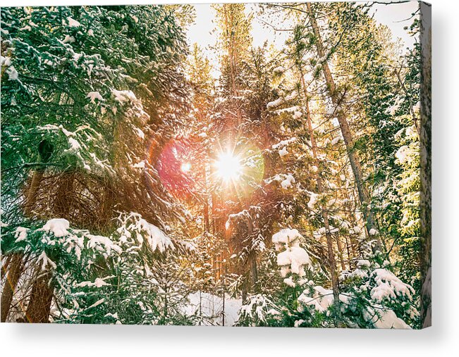 Winter Acrylic Print featuring the photograph Colorado Rocky Mountain Snow and Sunshine by James BO Insogna