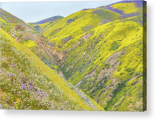 California Acrylic Print featuring the photograph Colorful Canyon by Marc Crumpler