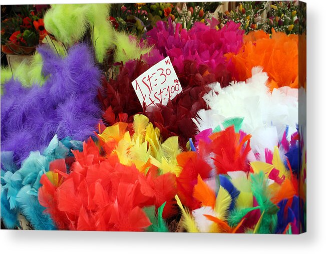 Stockholm Acrylic Print featuring the photograph Colorful Easter Feathers by Linda Woods