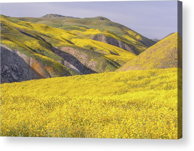 California Acrylic Print featuring the photograph Colorful Hill and Golden Field by Marc Crumpler