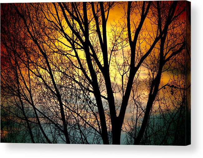 Sunsets Acrylic Print featuring the photograph Colorful Sunset Silhouette by James BO Insogna
