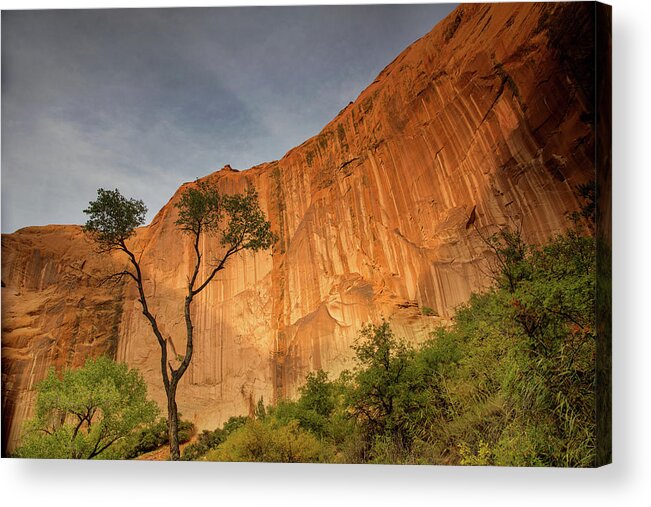 Coyote Gulch Acrylic Print featuring the photograph Colors of bliss by Kunal Mehra