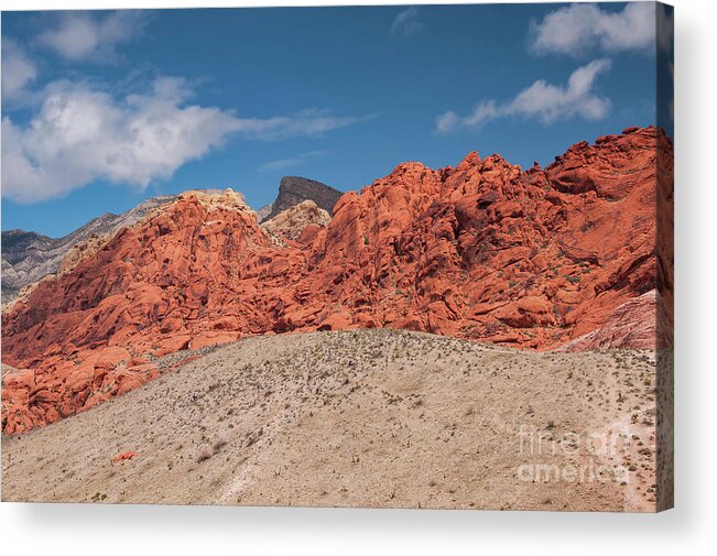 Red Rock Canyon National Conservation Area Acrylic Print featuring the photograph Colors of Red Rock Canyon Two by Bob Phillips