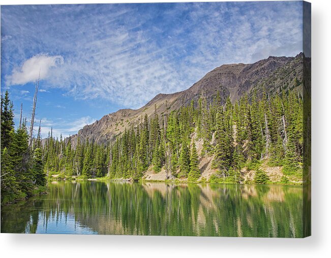 Olympic National Park Acrylic Print featuring the photograph Colors of the Olympics by Kunal Mehra