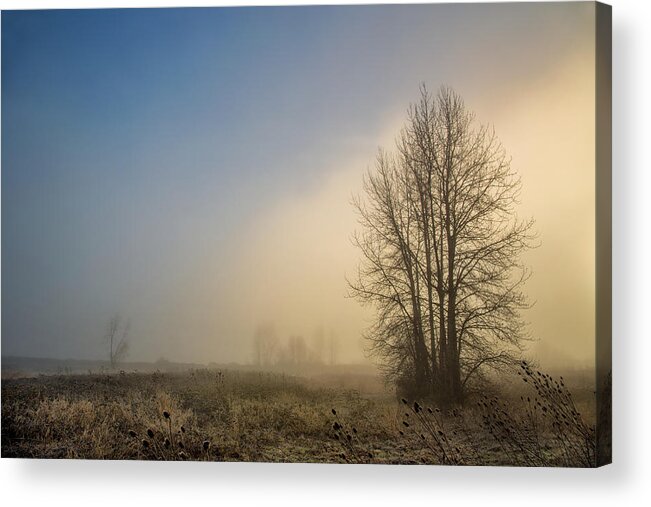 Portland Fog Acrylic Print featuring the photograph Colors of winter sunrise by Kunal Mehra