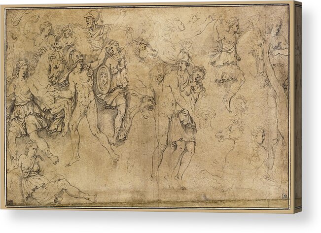 Girolamo Da Carpi Acrylic Print featuring the drawing Combat of Greeks and Amazons with Achilles and Penthesilea by Girolamo da Carpi