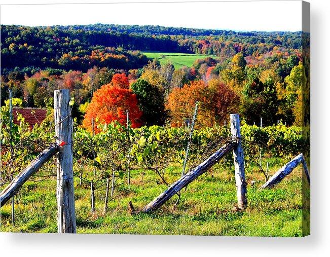 Gouviea Winery Acrylic Print featuring the photograph Connecticut Winery by Pat Moore