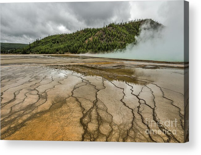 Midway Geyser Basin Acrylic Print featuring the photograph Contrasts at Midway Geyser Basin by Sue Smith
