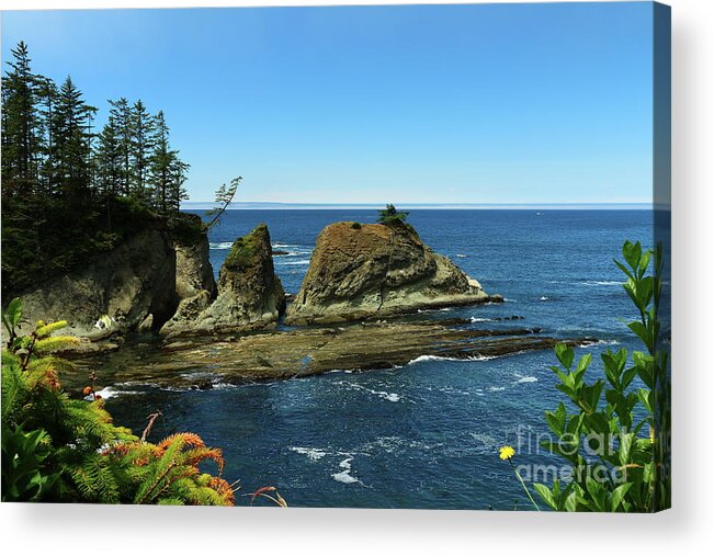  Cape Acrylic Print featuring the photograph Coos Bay by Christiane Schulze Art And Photography