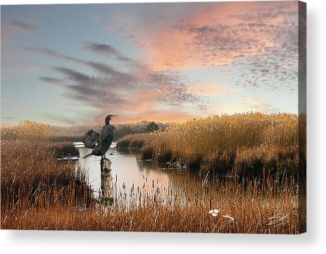 Cormorant Acrylic Print featuring the painting Cormorant At Sunset by M Spadecaller