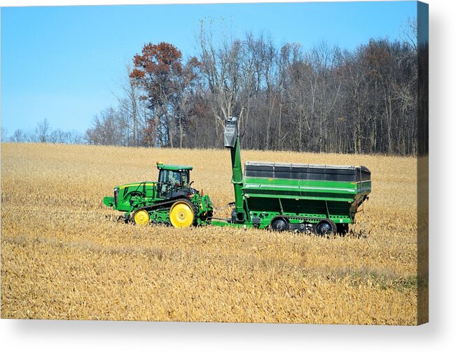 Harvest Acrylic Print featuring the photograph Corn Harvest by Bonfire Photography