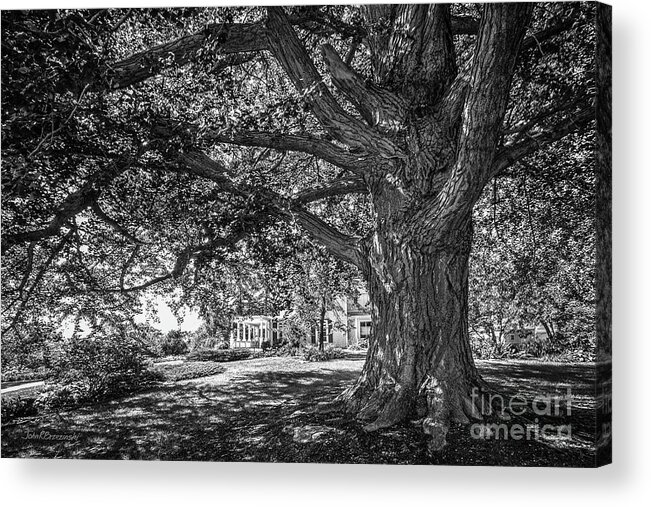 Cornell College Acrylic Print featuring the photograph Cornell College Landscape by University Icons
