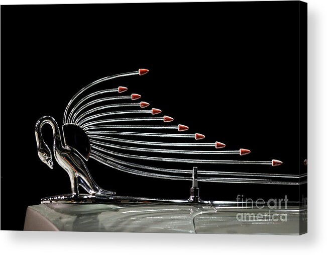 Packard Acrylic Print featuring the photograph Cormorant Antenna by Dennis Hedberg