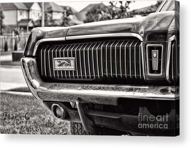 Mercury Acrylic Print featuring the photograph Cougar End by Traci Cottingham