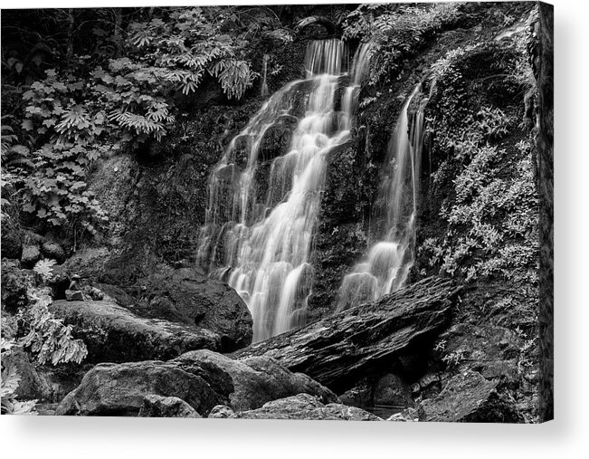 Cougar Falls Acrylic Print featuring the photograph Cougar Falls - Black and White by Stephen Stookey